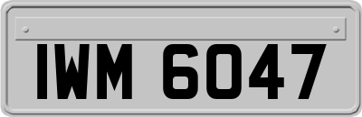 IWM6047