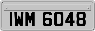 IWM6048