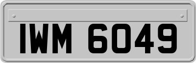 IWM6049