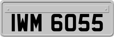 IWM6055