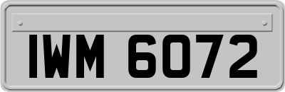 IWM6072