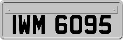 IWM6095