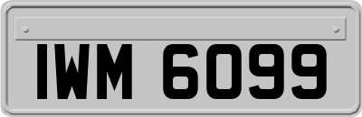 IWM6099
