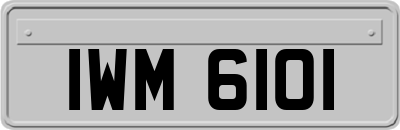 IWM6101