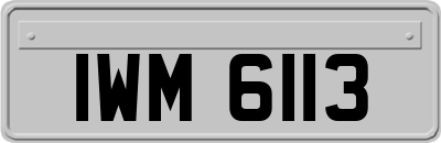 IWM6113
