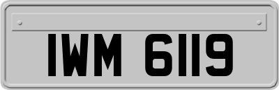 IWM6119