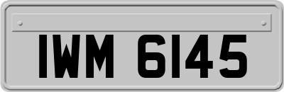 IWM6145