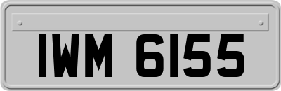 IWM6155