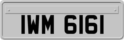 IWM6161