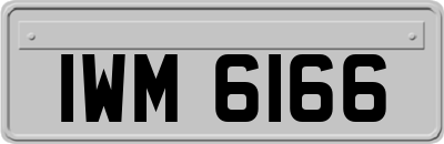IWM6166