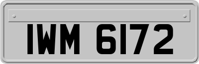 IWM6172