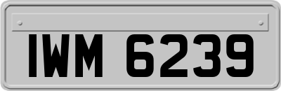 IWM6239