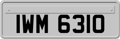 IWM6310