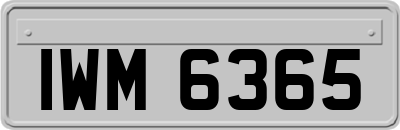 IWM6365