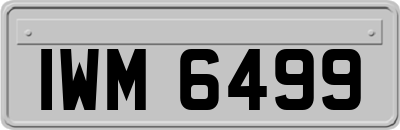 IWM6499