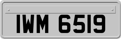IWM6519