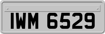 IWM6529