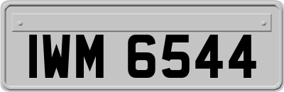 IWM6544