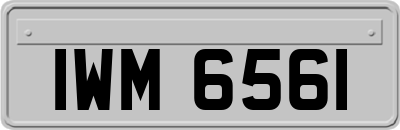 IWM6561