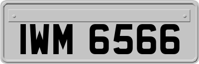 IWM6566