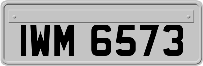 IWM6573