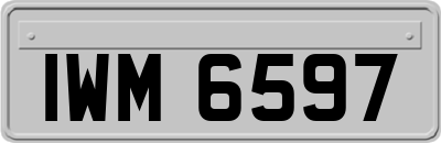 IWM6597