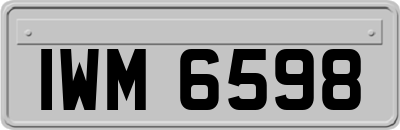 IWM6598