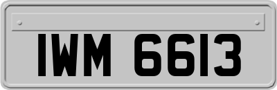 IWM6613