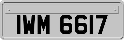 IWM6617