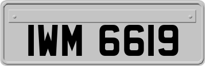 IWM6619