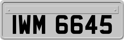 IWM6645