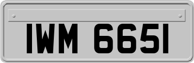 IWM6651