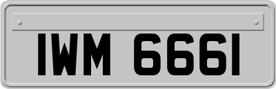 IWM6661