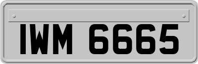 IWM6665