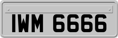 IWM6666