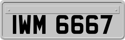 IWM6667
