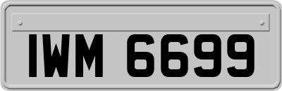 IWM6699
