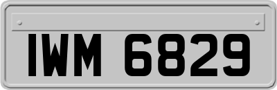 IWM6829
