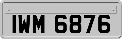 IWM6876