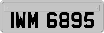 IWM6895