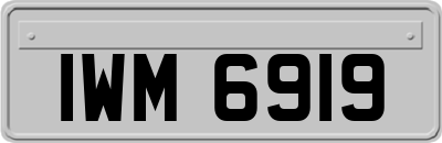IWM6919