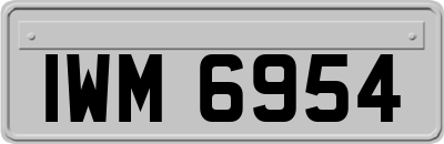 IWM6954