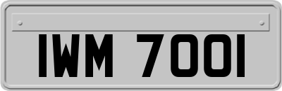IWM7001