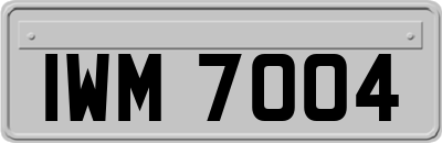 IWM7004