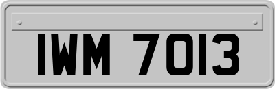 IWM7013