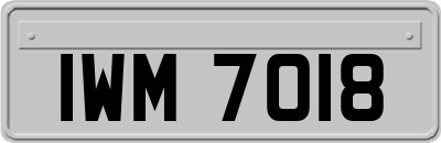 IWM7018