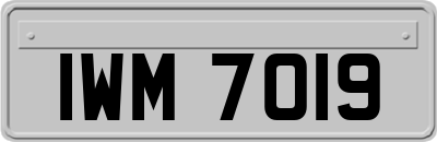 IWM7019