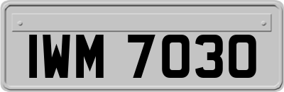 IWM7030