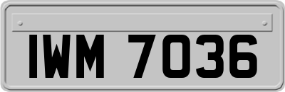 IWM7036
