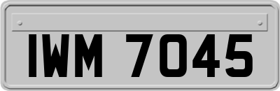 IWM7045